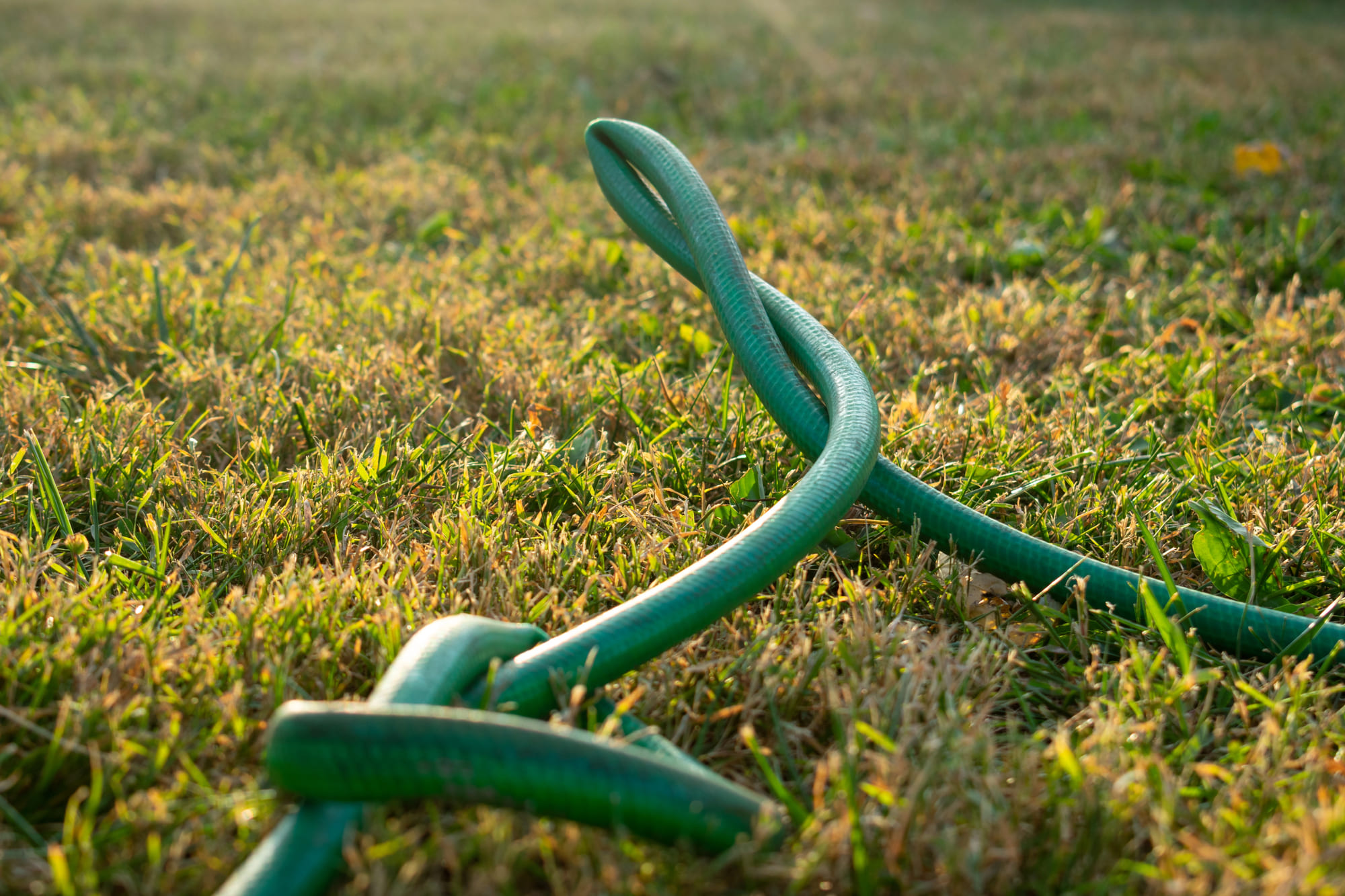 spine well centers kinked water hose